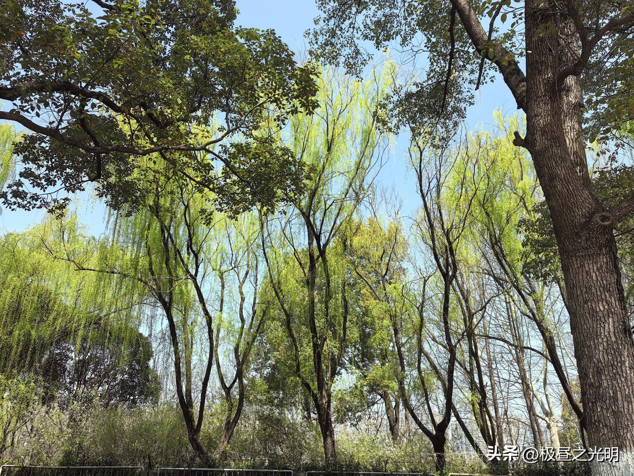 转型

新能源汽车越来越多，燃油车越来越少，在石油能源日趋紧张的情况下，是好事，