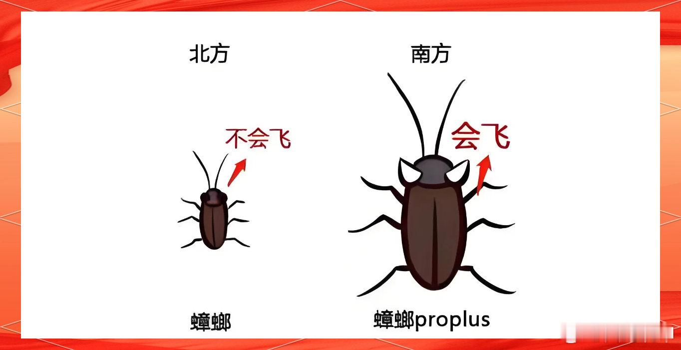 南北方蟑螂区别有多大？ 