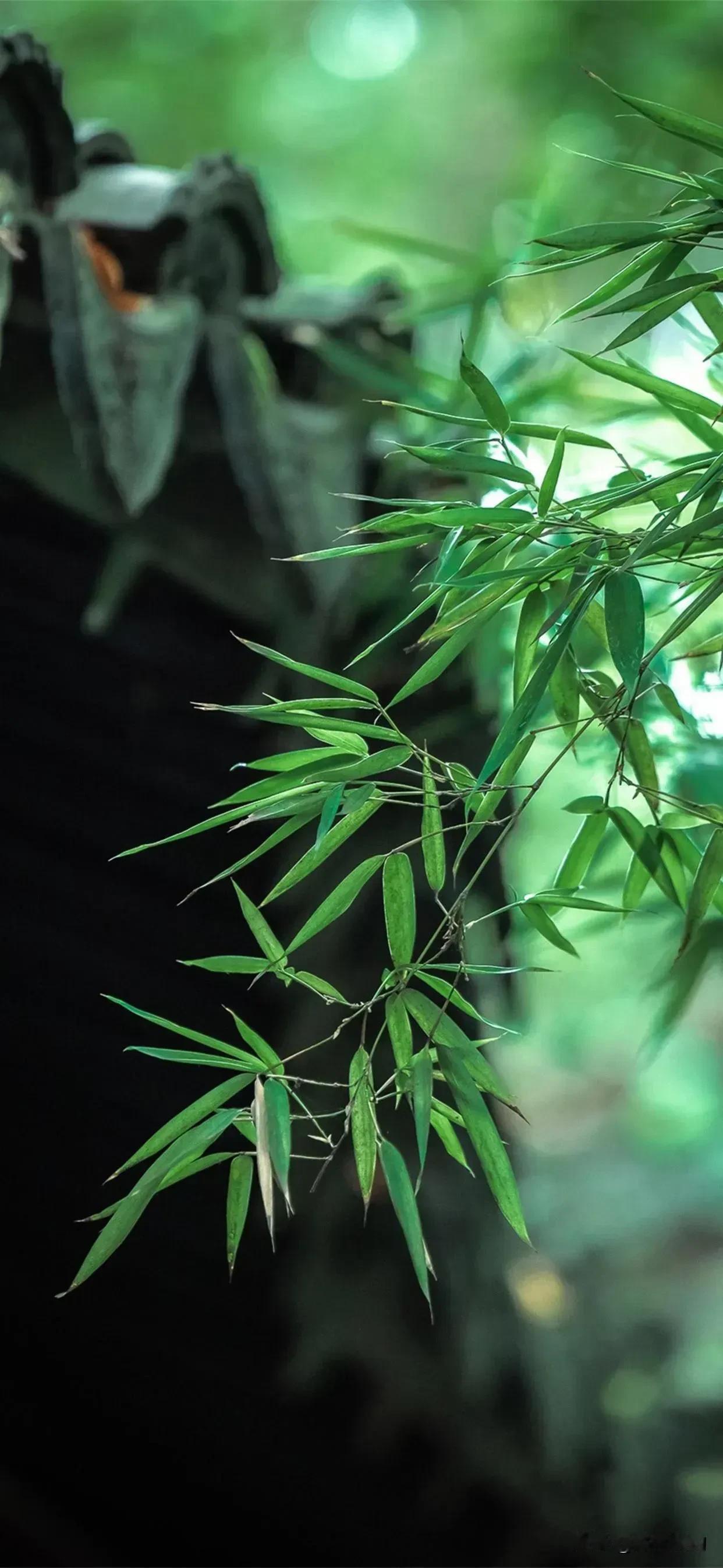 时光一遍遍轮回，四季兜兜转转，有时繁华，有时简静，赏不尽的风景，即便寒冬，也有一