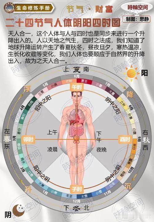 为什么阴阳平衡对人身体如此重要?
阴阳源于中国古代哲学，认为万物都有阴阳两个对立