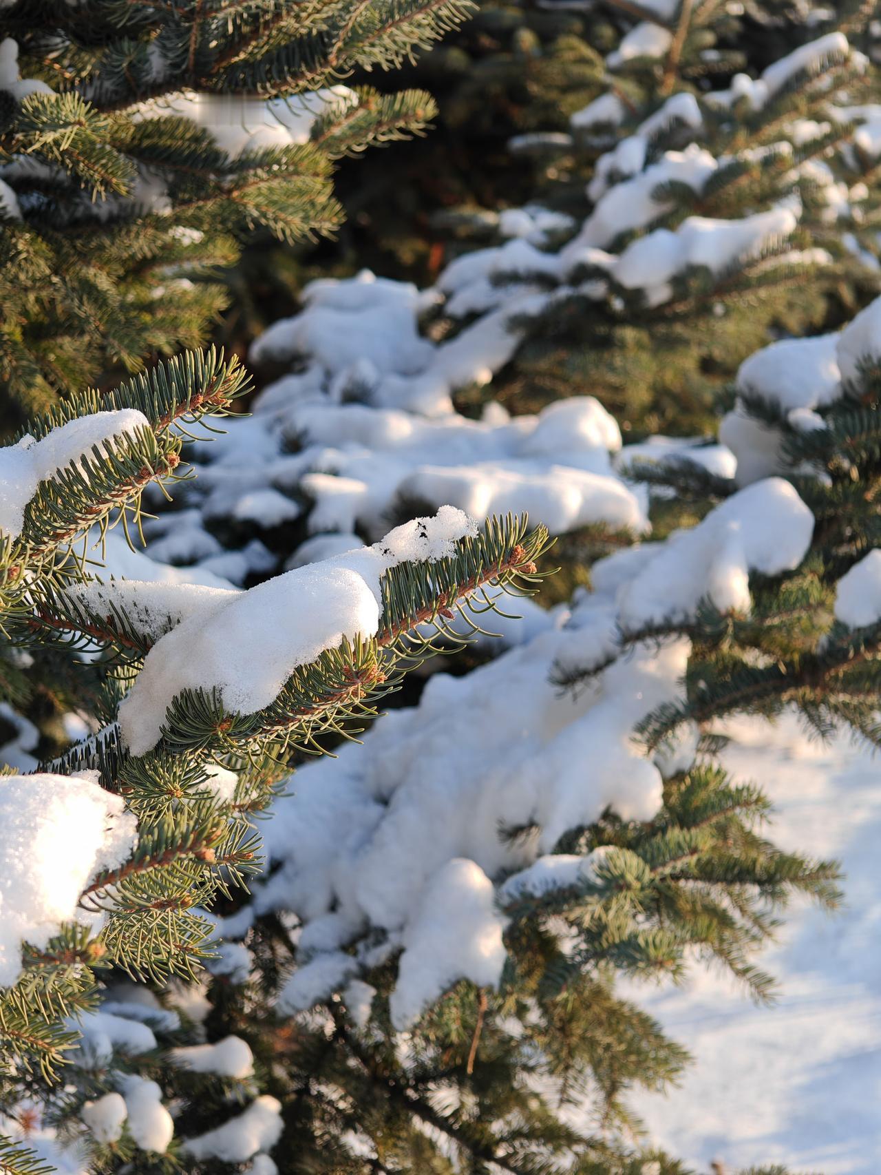 与痛风斗争的历程113
 
   早上起床，天气晴朗。浑身各个关节表现正常，只有