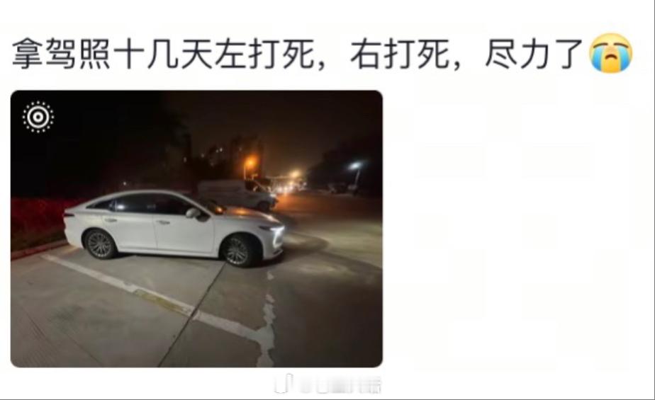 当拿到驾照但依然不会停车[跪了] ​​​