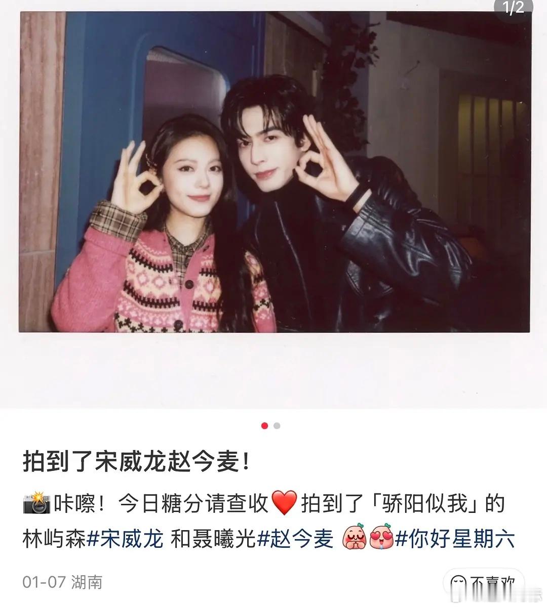 宋威龙，赵今麦粉丝为什么这么恨野狗？ 