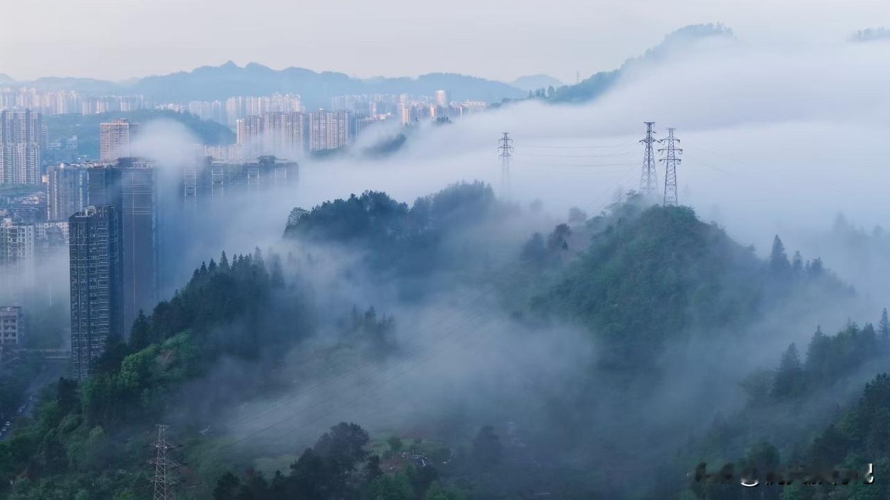 一早前往湘西矮寨大桥，运气真好，遇到有云海，大桥像条彩带连接两山之间！