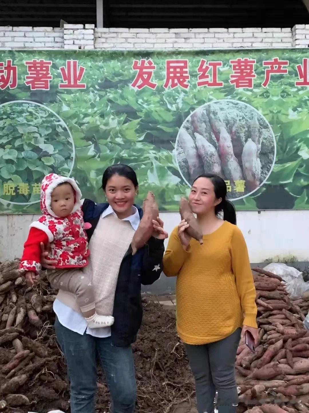 大家好，我是老挝杨玛丽,通过十几天的忙碌我们老家的陕西红富士苹果icon已经接近