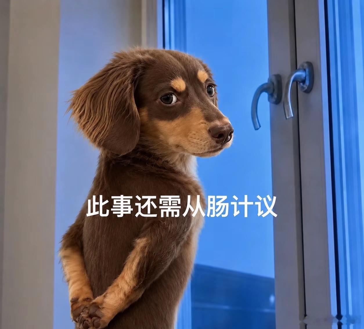 过去20年，宏观有三次至关重要的“决定性判断”—— 2015～2016年，能否判