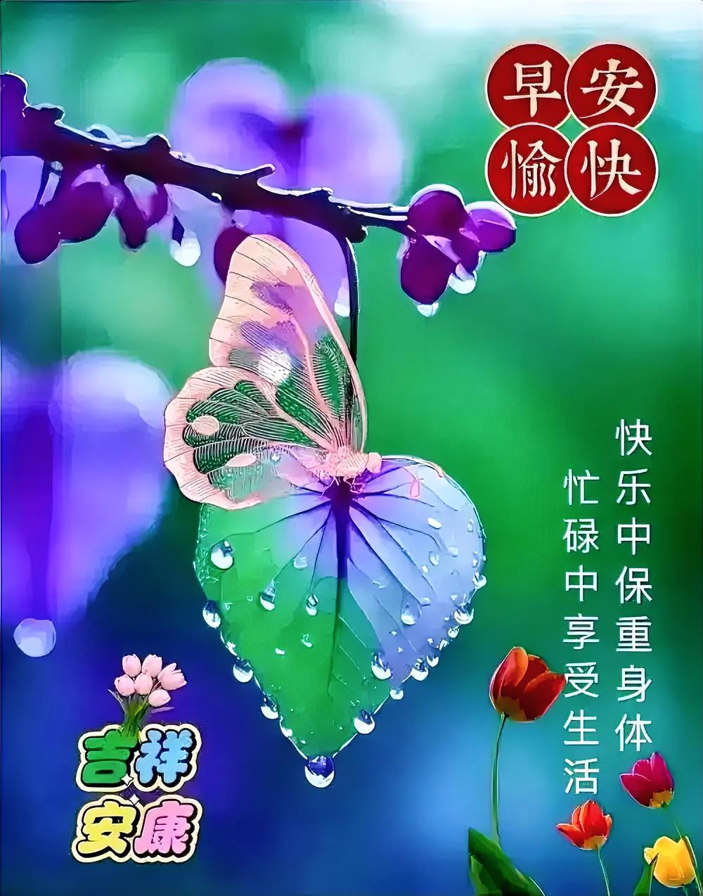 生活的磨砺逼我活成了通透的人生观，也让我拥有了乐观积极向上的心态，这是岁月赠予的