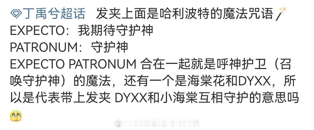 这次星光大赏 丁禹兮给粉丝的逆应援：1️⃣哈利波特发夹，咒语是守护神；2️⃣包了