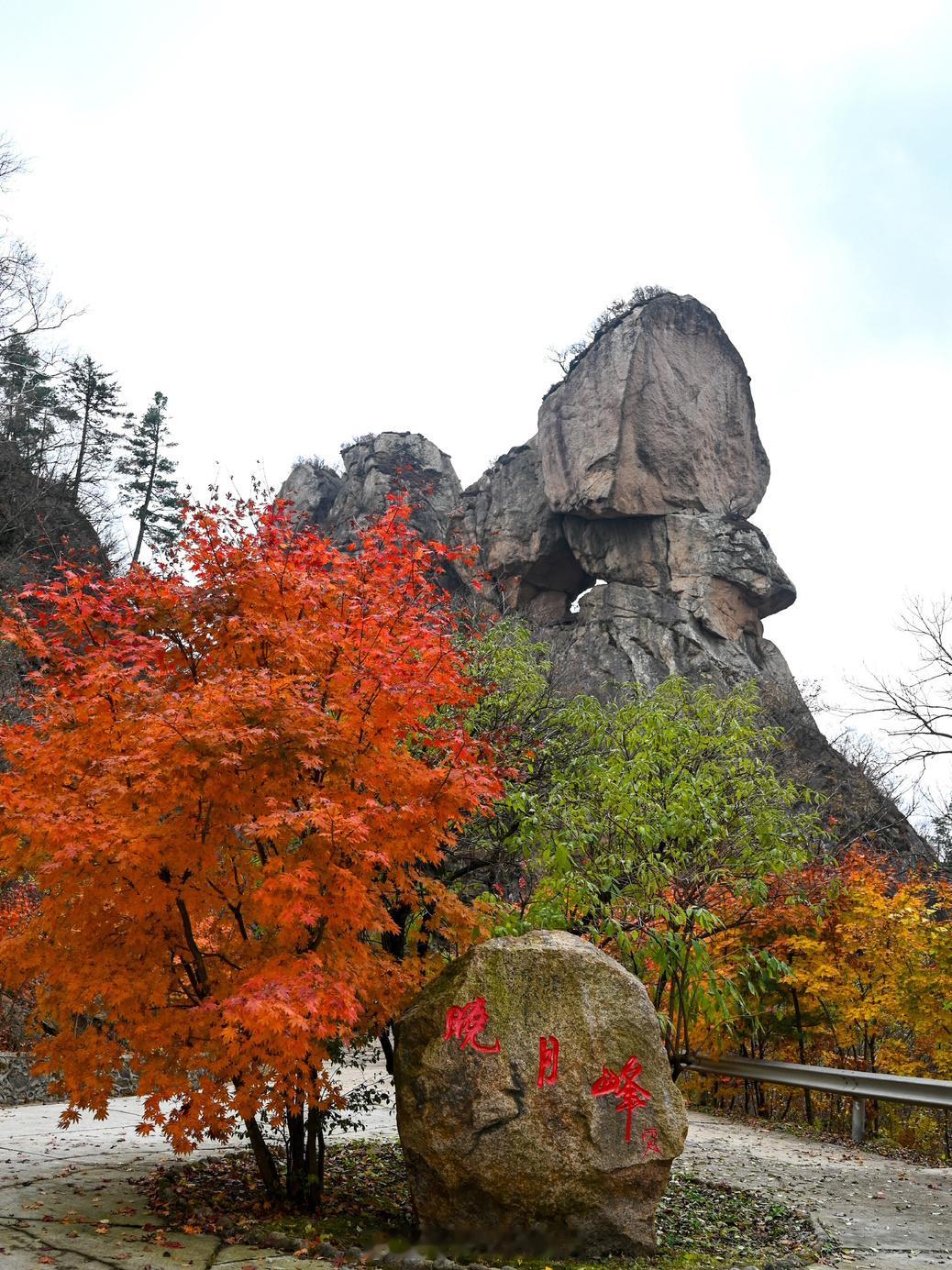 #花样玩转十一假期#这个小长假可以去观赏枫叶🍁啦，享有“辽东小庐山”的丹东天桥