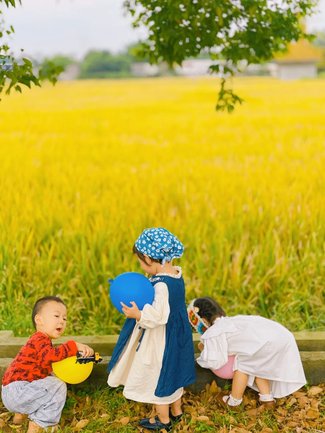 成都周边遛娃第8⃣️记｜快来感受最后一抹金黄