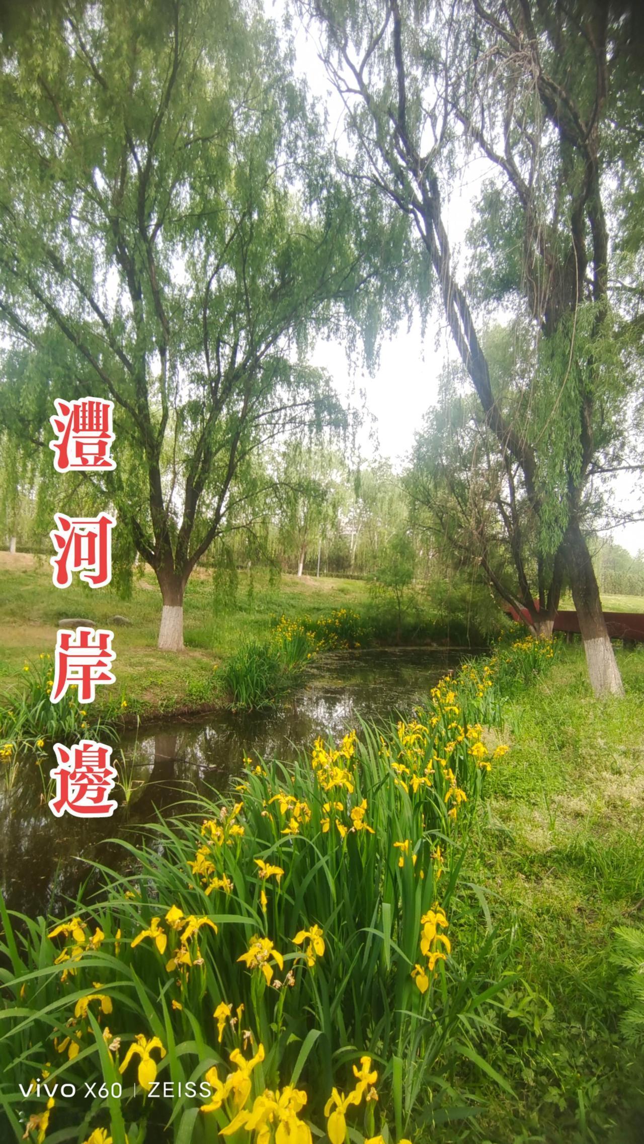 看见音乐 随拍 湿地公园