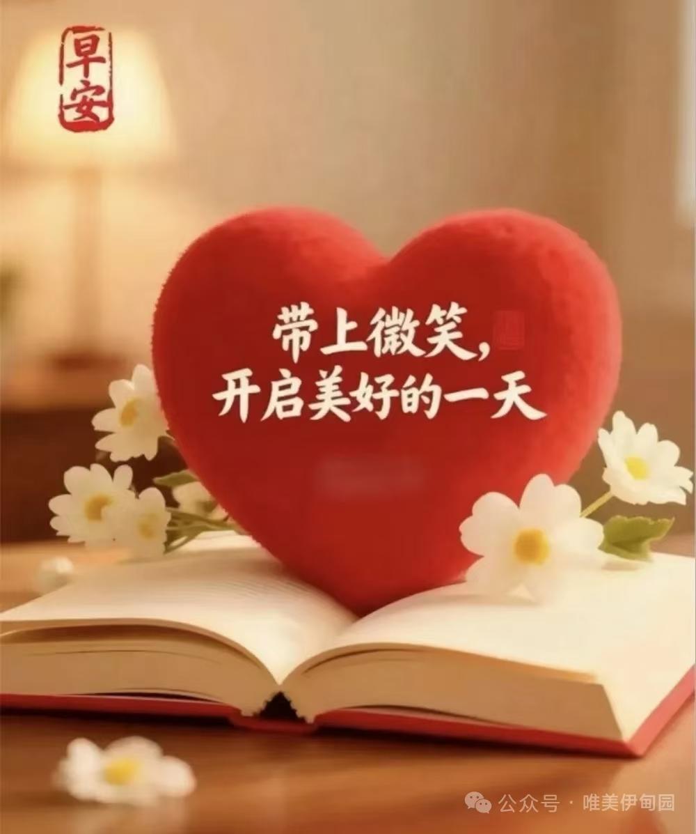 友友们，早安！