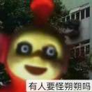 小包青天热逛汽车