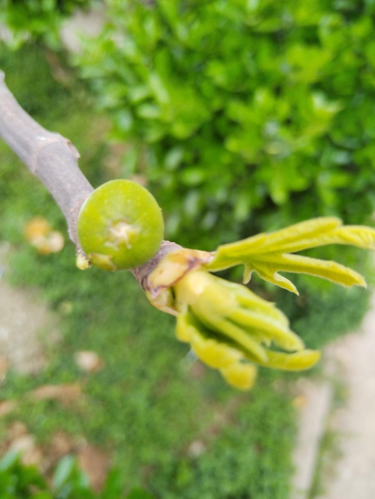 【趣联联趣】
上联：花城各处人修好
下联：？
【一字千金】
《答花城小子》
花城