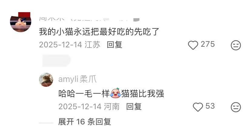 原来享受生活不需要等大学生喜爱内容共创计划毕业季