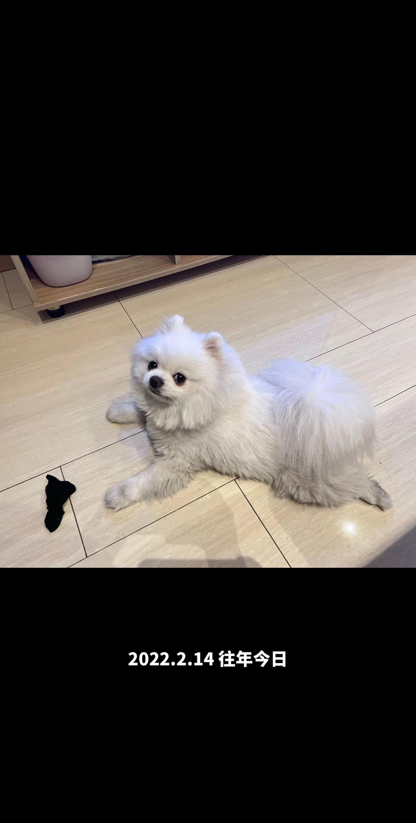 谁能想到2026年的这一天，孩子依然没赶上洗澡的大日子😂节后再美容吧