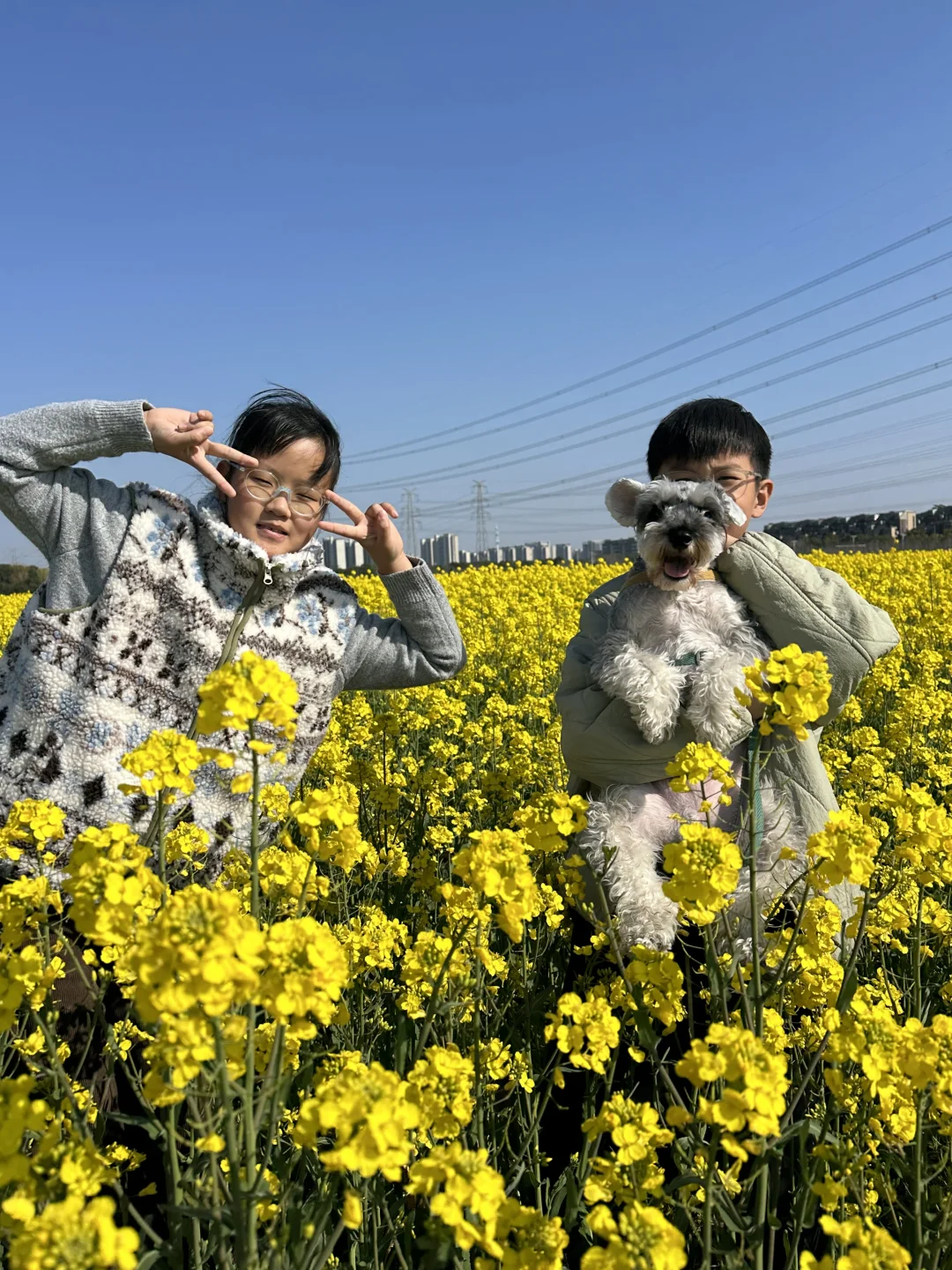 去看油菜花🌼啦