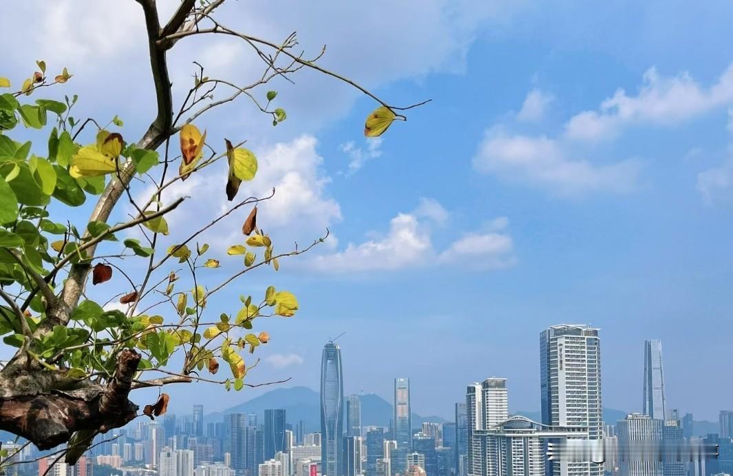 对象跟我说：
不要因为别人发光，就觉得自己黯淡。每个人的时区不同，花期各异，你只