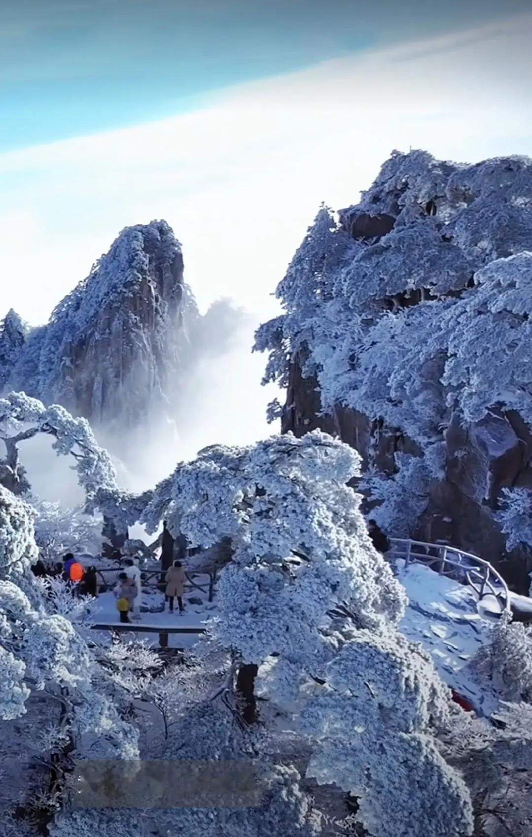 雪中黄山，白雾在灰青色的雪峰中蒸腾飘动。