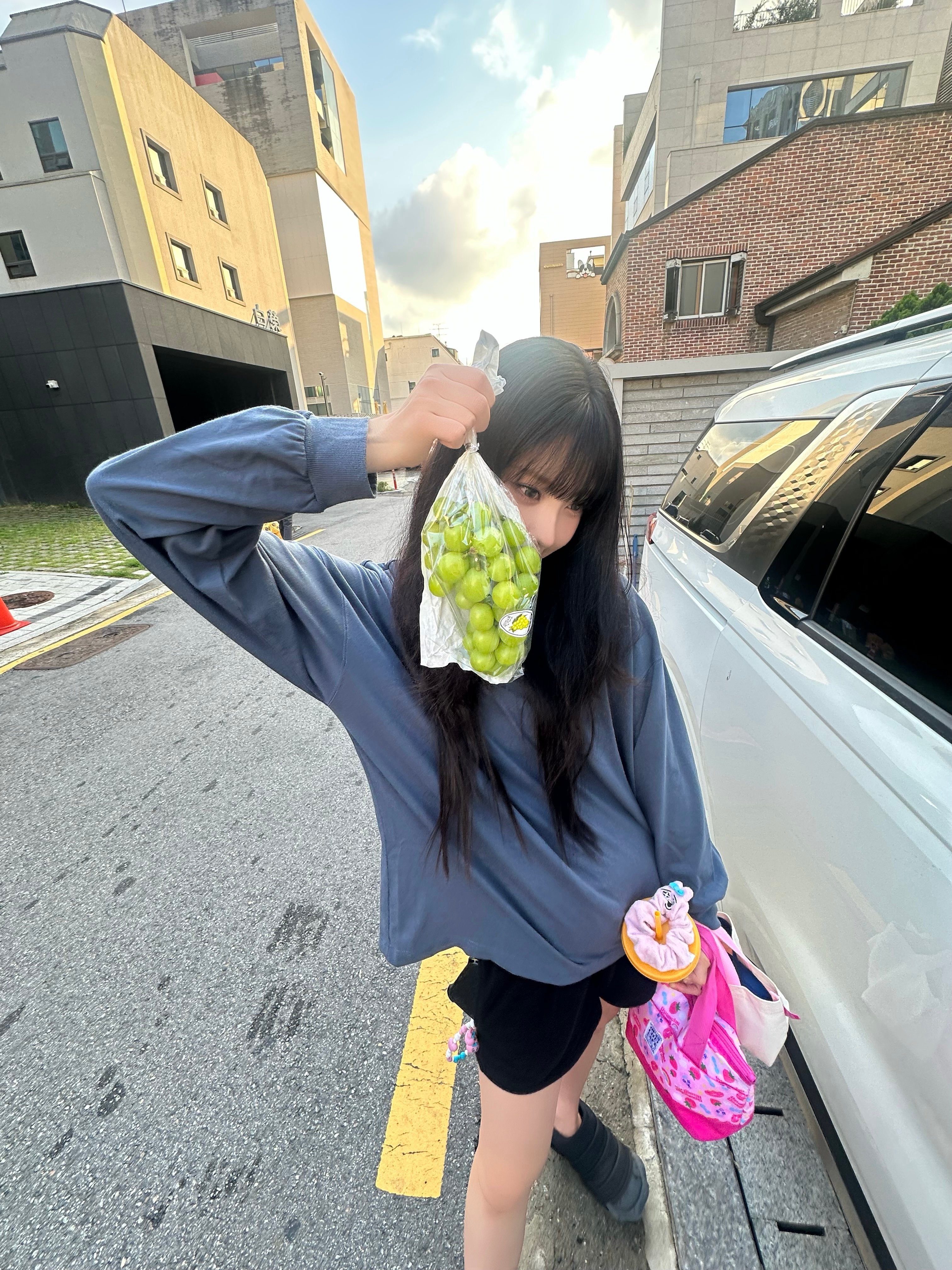 最爱的葡萄专栏 · CHAT•나라이코코