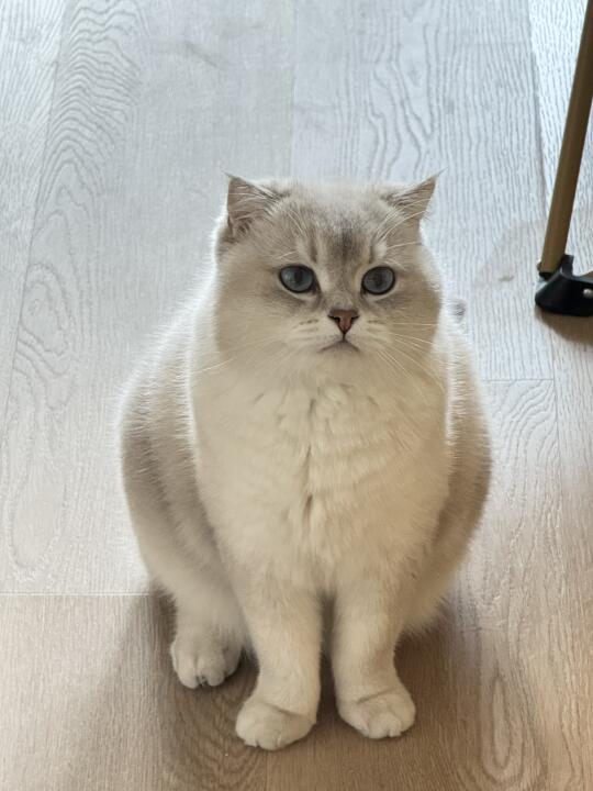 妈妈，不上班行不行啊🥺