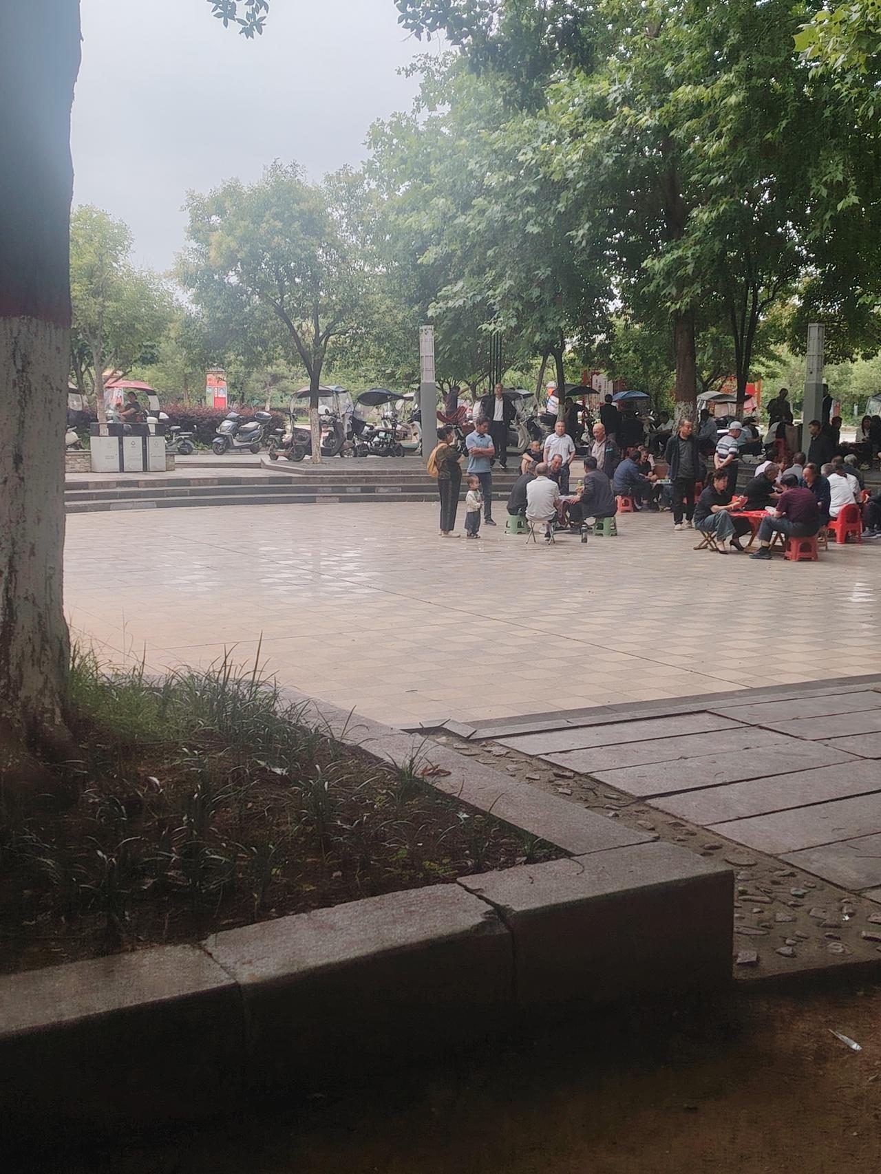 随手拍下初夏美景广场的树阴下。退休老人们都在玩牌打麻将，享受人生的快乐。