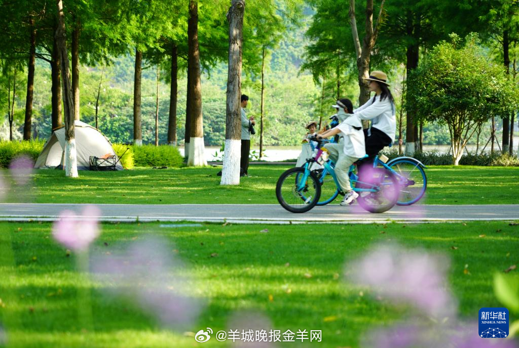 #早安# 迎着阳光走，把影子抛到身后。 ​​​
