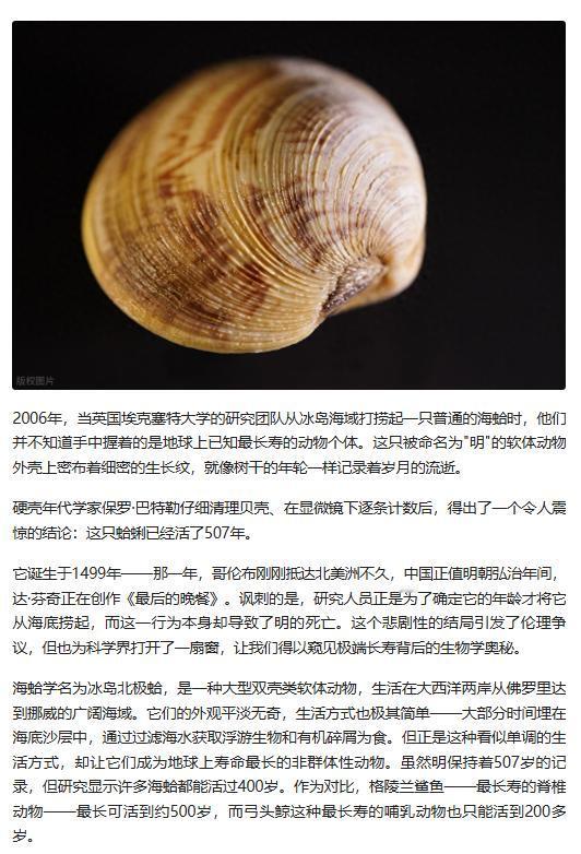 507 岁蛤蜊 “明” 藏着长寿密码，为人类抗衰研究提供灵感，却因科研意外死亡，