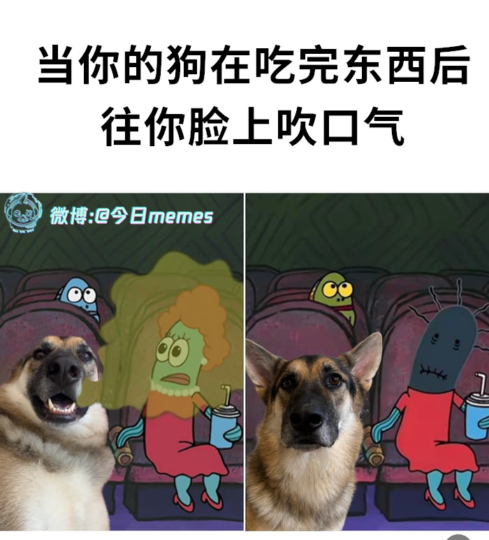 哈~（9gag）今日meme[超话] 今日memes ​​​