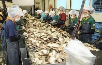 日本排放核水后，奇怪的事发生了：刚开始各国对海鲜避之不及，如今3年过去，核水已污