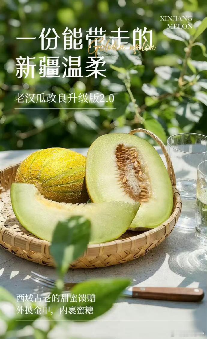 新疆老汉瓜，很多人听说过没见过，吃过的人更少了。以前，它因为皮薄肉嫩、一碰就裂，