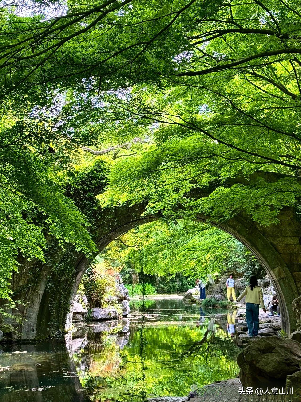 超级治愈绿野仙踪，西湖十景柳浪闻莺，真不是盖的
不管岁月和季节，法拉利还是法拉利