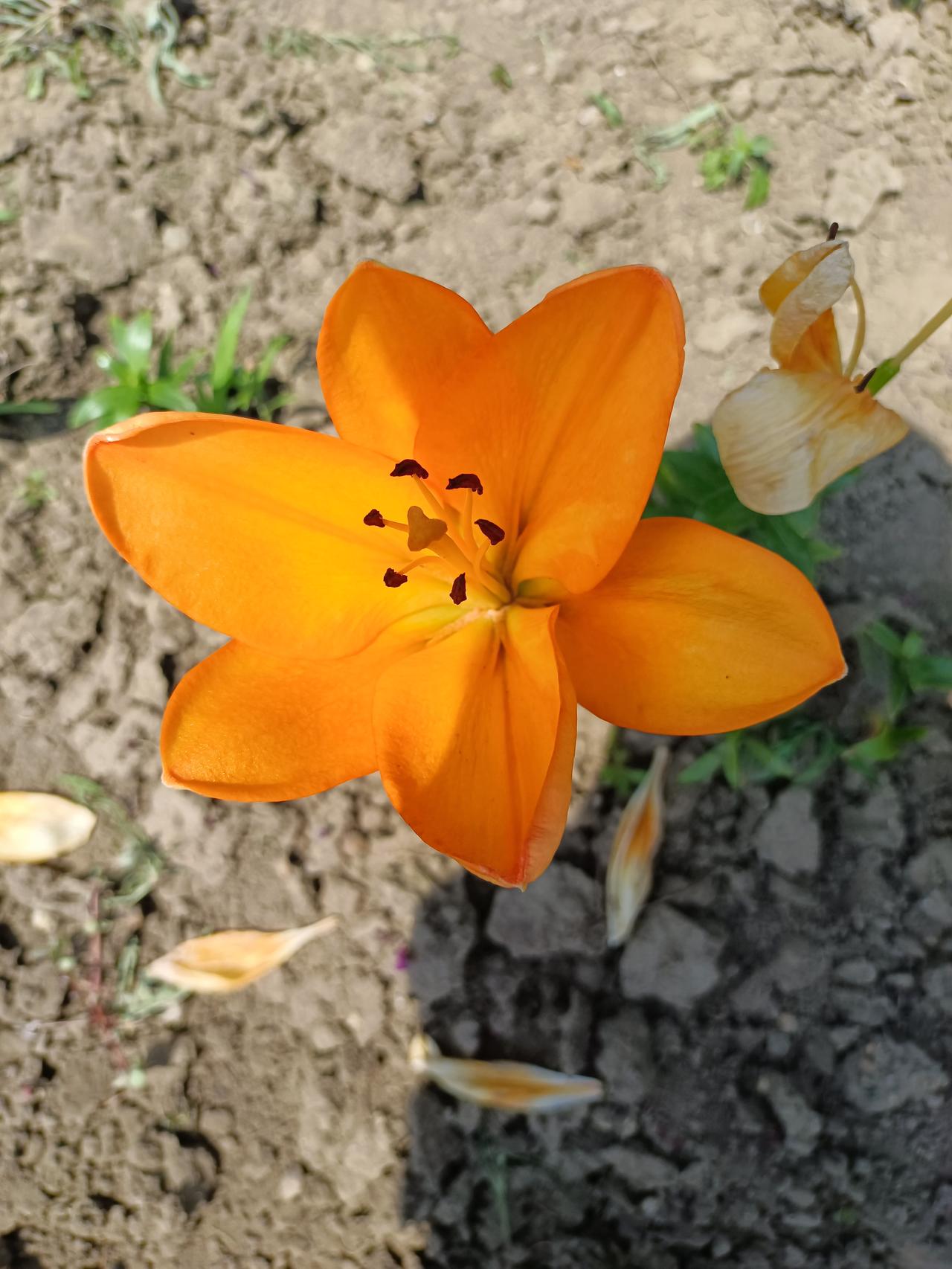 （原创）快退休了是什么心态？

我也快退休了，和年轻的时候相比，心态发生了很大的