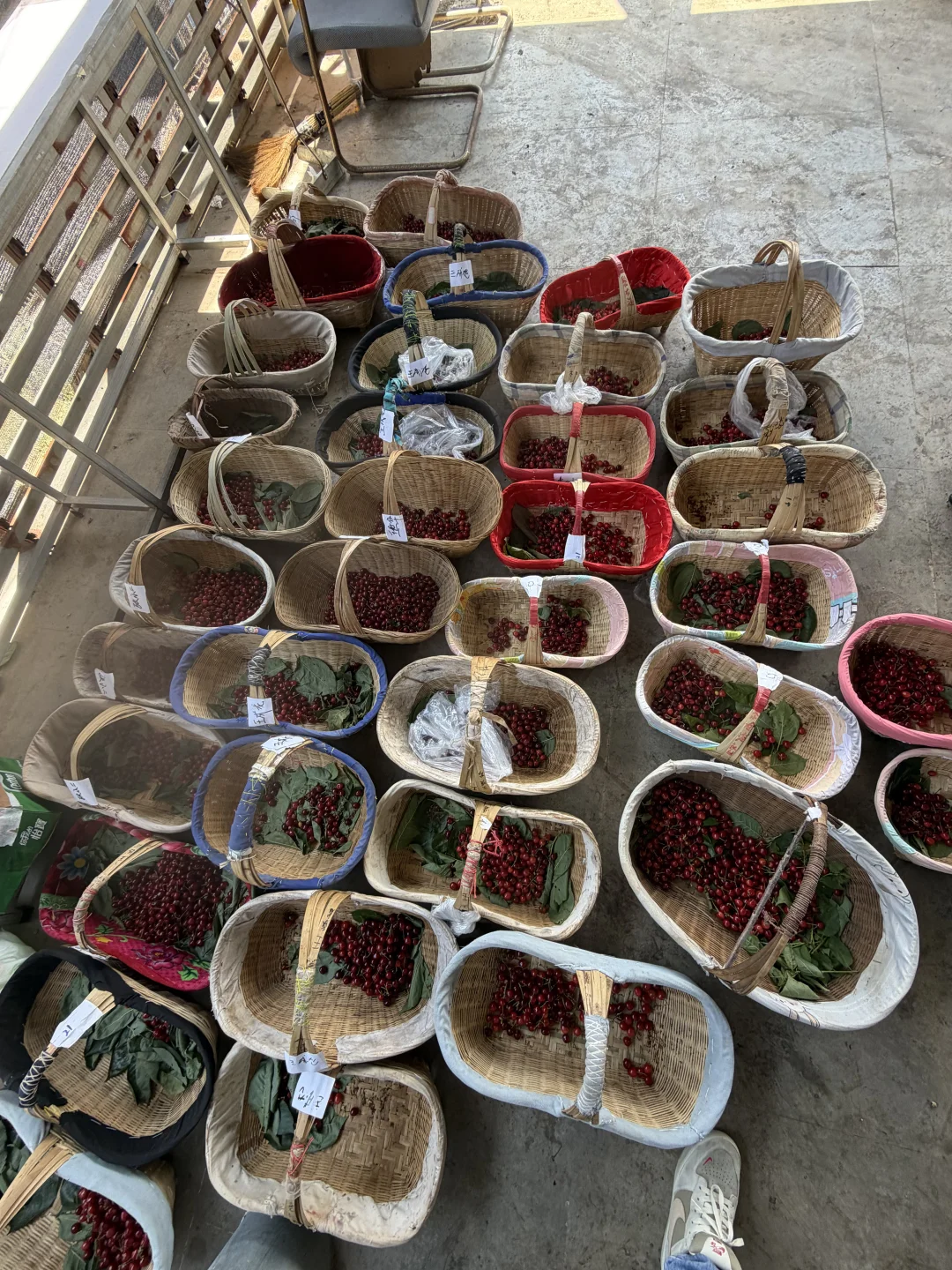 想蒙混过关在我这是行不通的😂一家家来扣钱