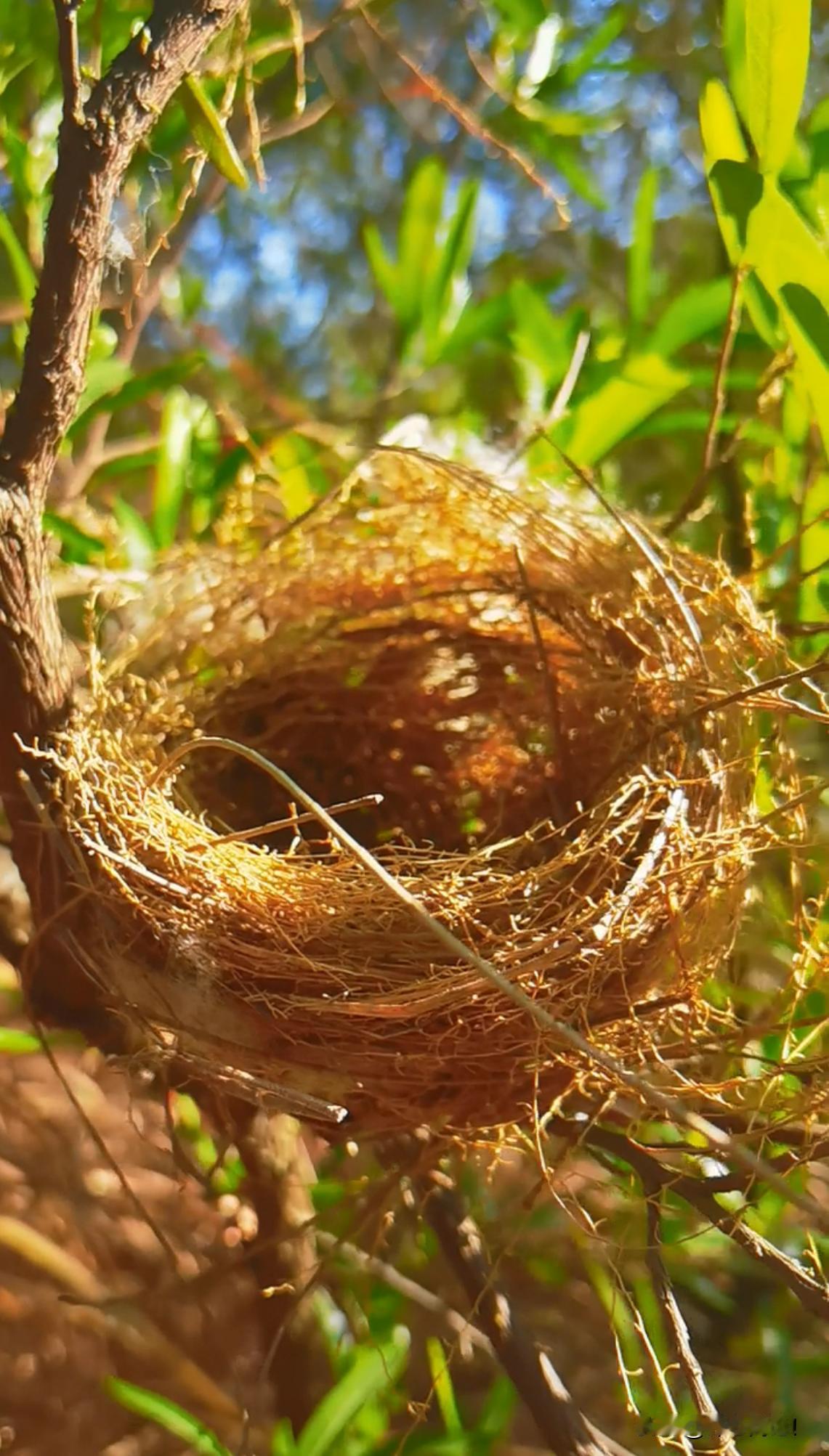 空，是另一种圆满。
