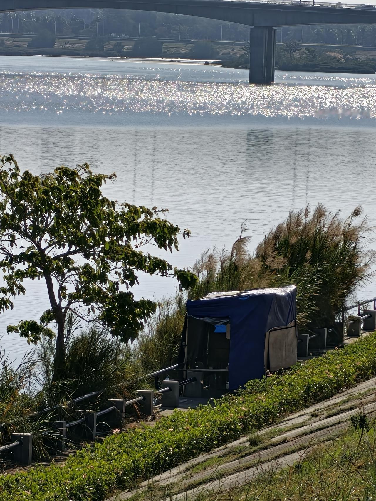 砺算科技图形卡：崭露头角，潜力无限
在科技浪潮涌动的当下，砺算科技的图形卡业务正