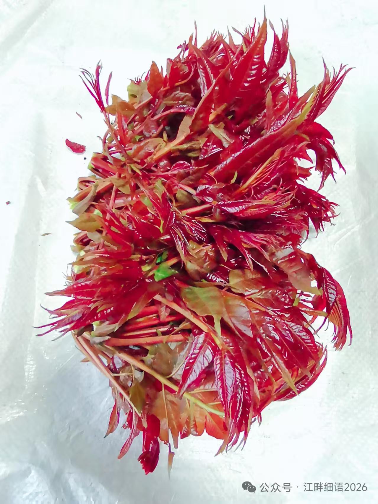 天净沙·春味
山葱荠菜香长，
笋芽椿酒盈觞。
春味何须惆怅，
滋味入诗肠，
清欢