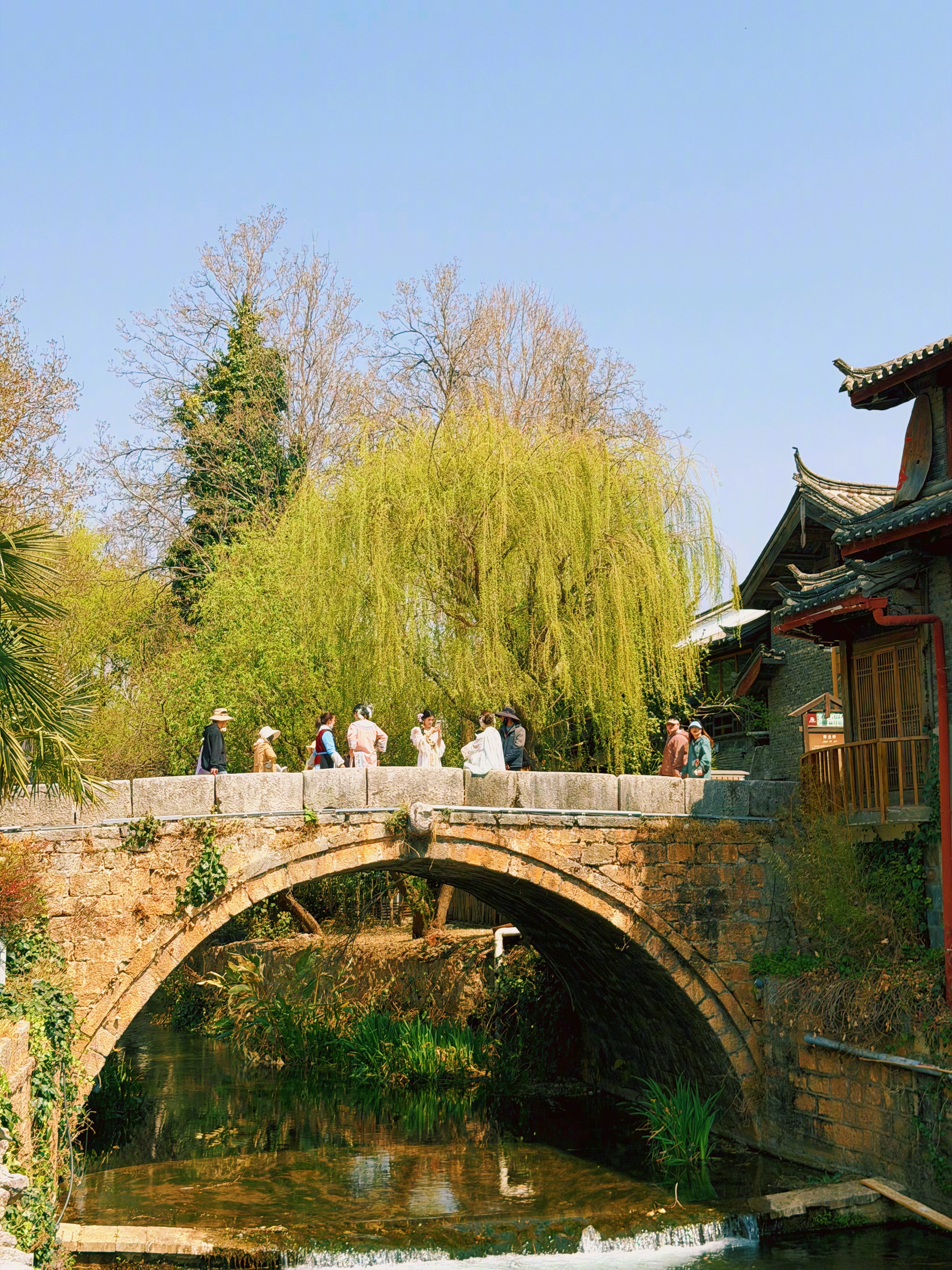 束河的春天，就是一种奢侈品…… 