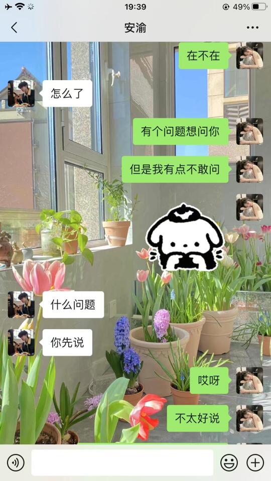 和crush聊天的正确打开方式 屡试不爽