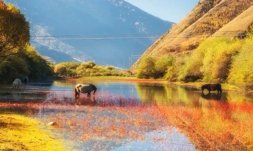 亚里士多德说：“真正持久不变的不是财富，而是人的性格。”
来自外界的厄运尚可忍受