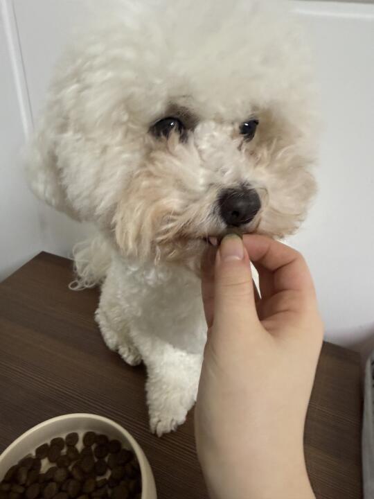 泪痕怎么去