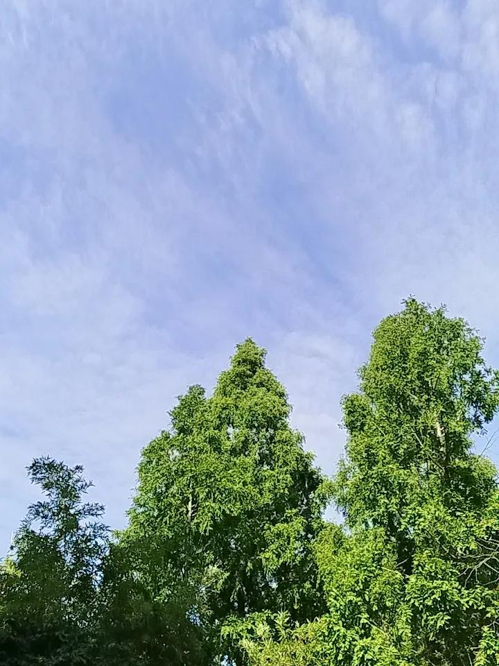 分享一张你的随手拍