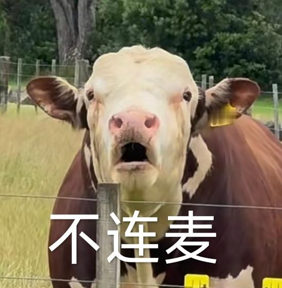 分享图片 