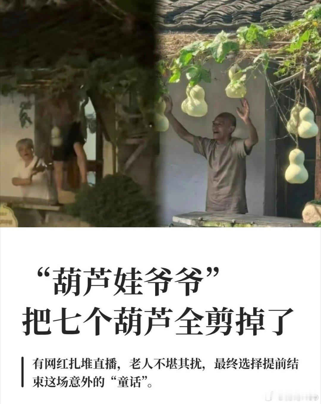 爷爷提前剪葫芦是给流量的一记耳光咱就是说，能不能别打扰人家的正常生活。再说这葫芦