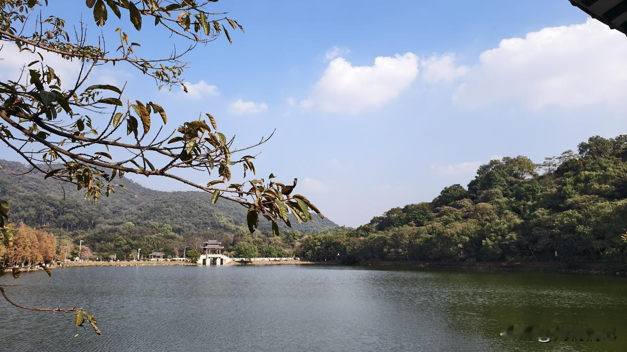 50岁后极简生活

1.  饭局？能免则免。 
不谈事儿的饭，就是浪费时间。AA