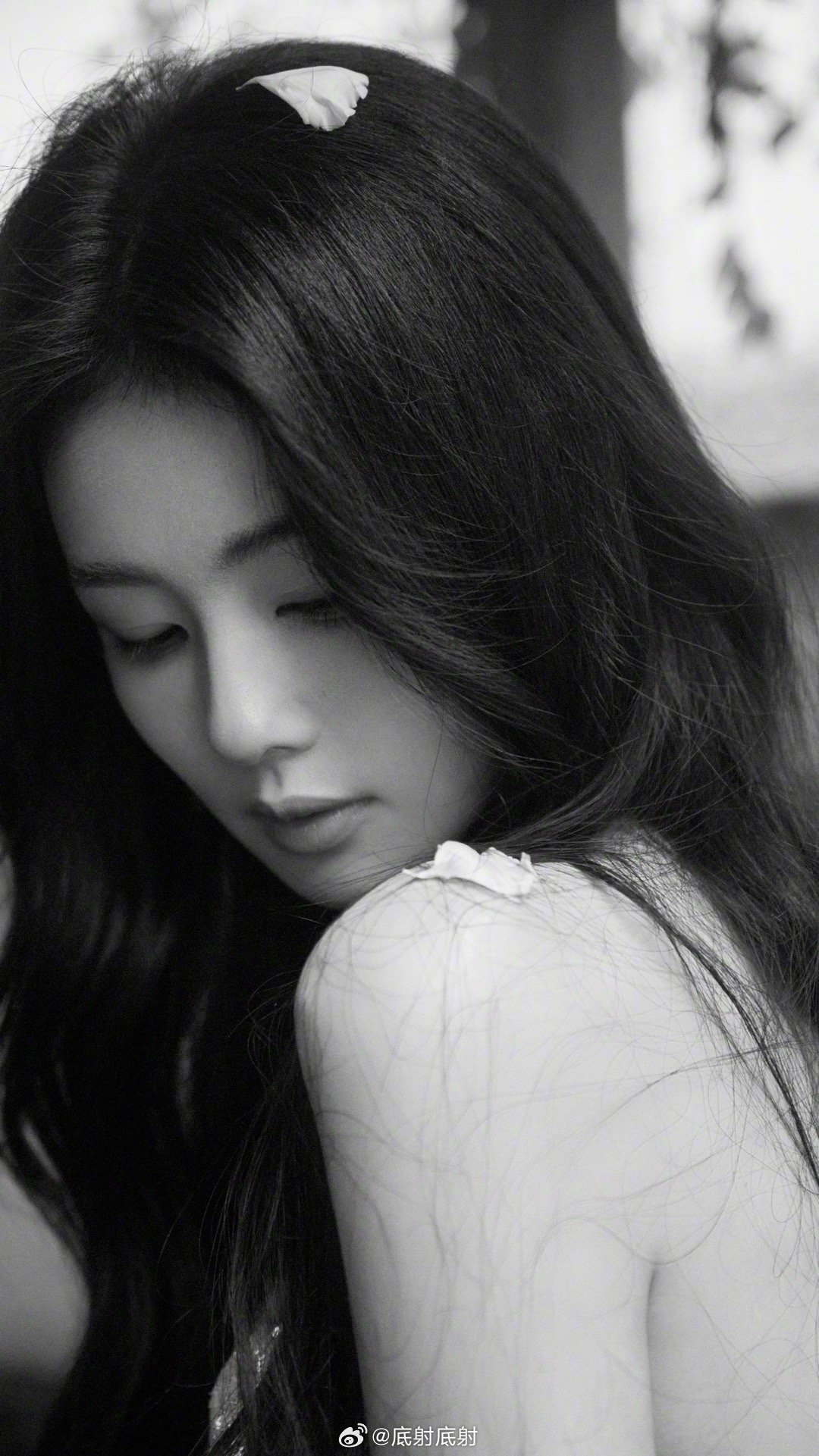 白鹿[锦鲤附体][爱慕][爱慕][舔屏][舔屏][舔屏][色][色][色][色]