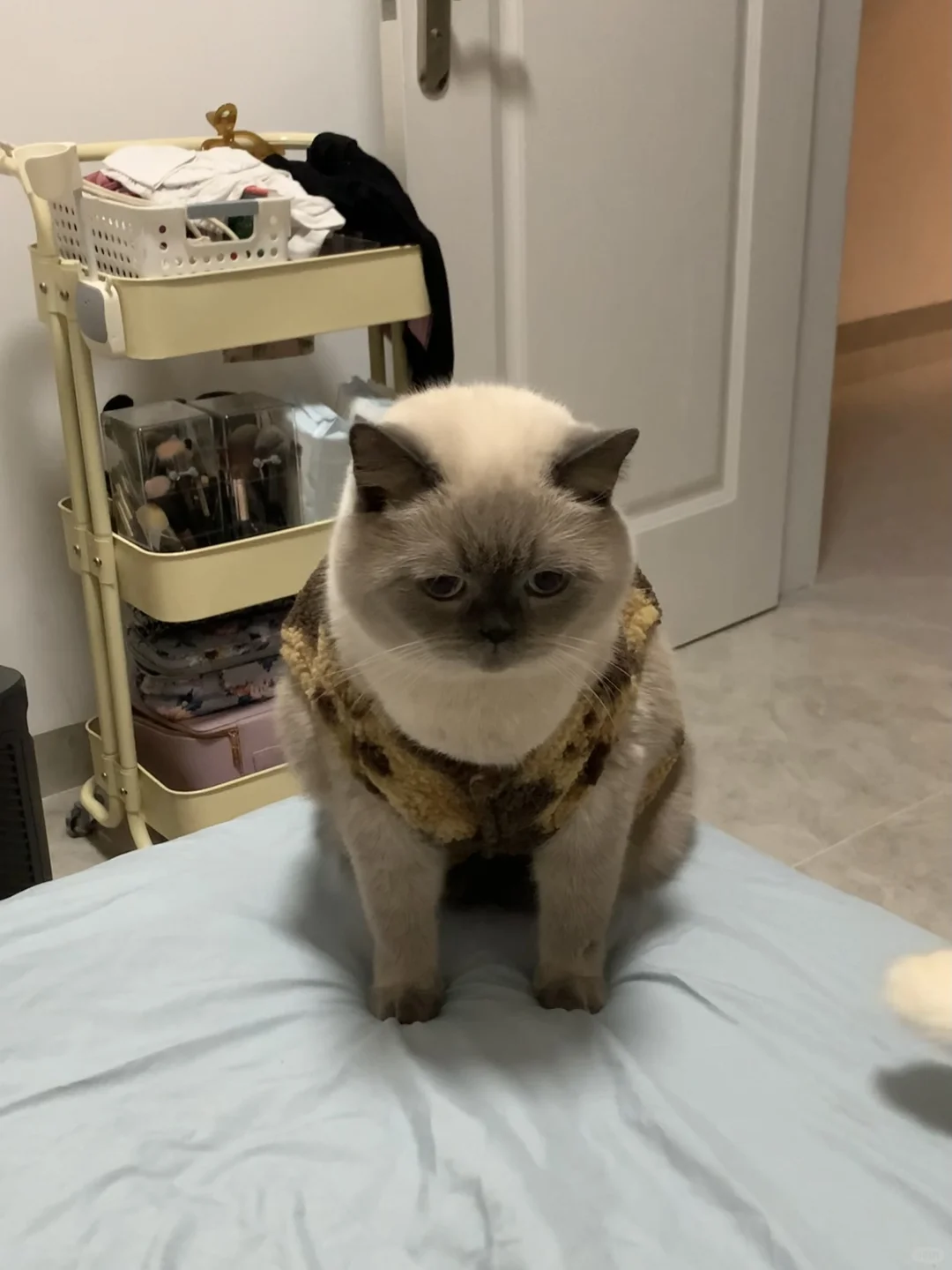 没喊他上床睡觉就生气了