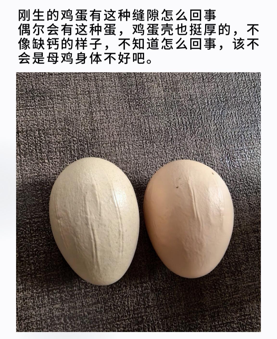 刚生的鸡蛋有这种缝隙怎么回事偶尔会有这种蛋，鸡蛋壳也挺厚的，不像缺钙的...