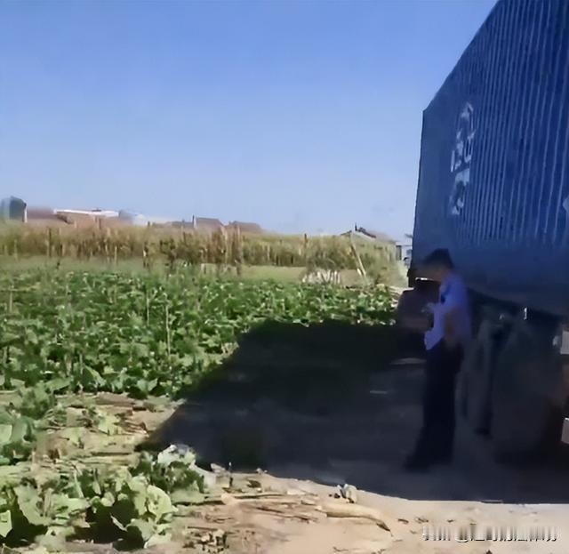 这不是讹人是什么？辽宁辽阳，一位外地货车司机，卸货后找不到掉头的地方。货主带着他