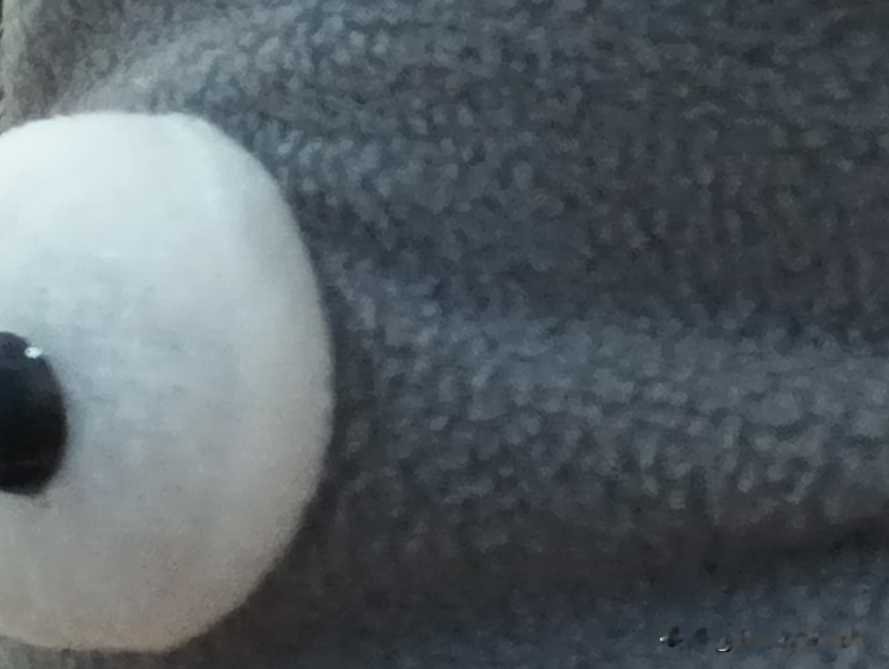 蓝蓝的大眼睛。